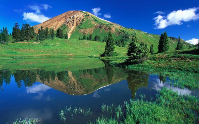 从新手到老司机最全汽车保养指南